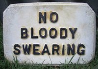 Hand Painted - Plaque No Bloody Swearing