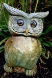 Hand Painted - Statue Owl Big Al