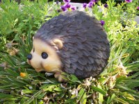 Hedgehog Mother