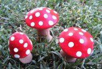 Mushroom Miniture Set of 3