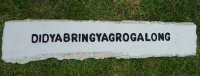 Hand Painted - Plaque didyabringyagrogalong