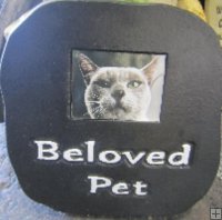 Memorial - Frame Large Beloved Pet