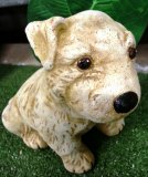 Hand Painted - Statue Dog Puppy