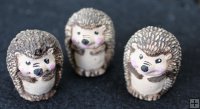 Hedgehog Miniture