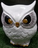 Hand Painted - Statue Owl Modern