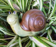 Hand Painted - Statue Snail Medium