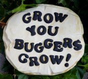 Hand Painted - Plaque Grow You Buggers Grow
