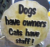 Hand Painted - Plaque Dogs Have Owners Cats Have Staff
