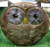 Hand Painted - Statue Owl Saucer