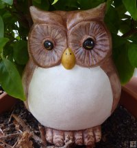 Hand Painted - Statue Owl Medium